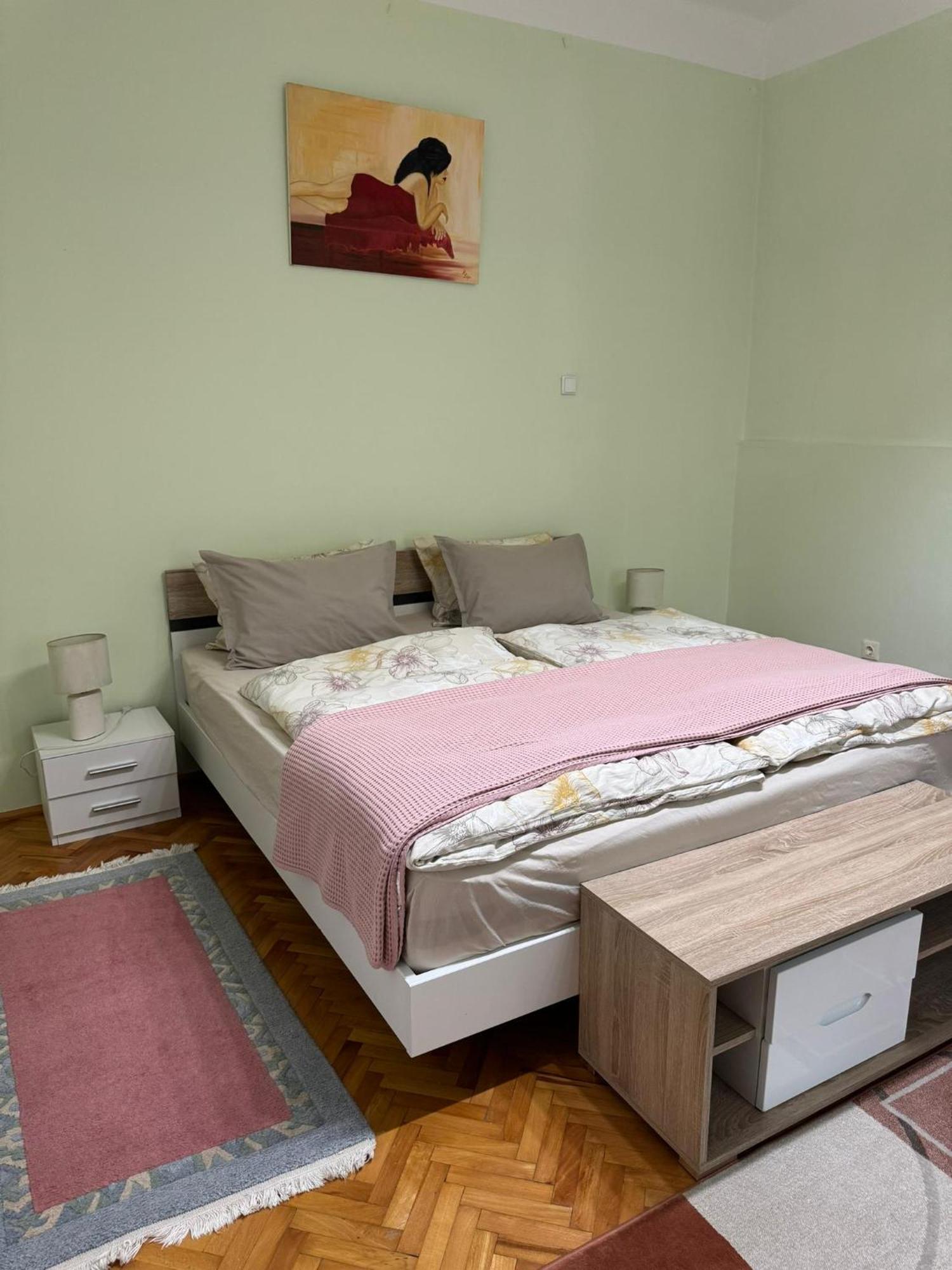 Apartament Victoria Timisoara Exterior foto
